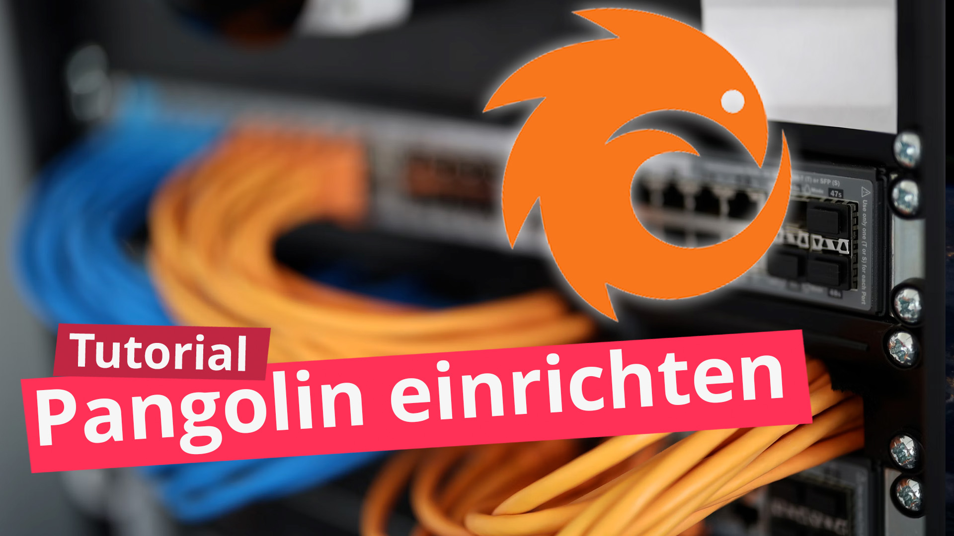 Pangolin einrichten Thumbnail