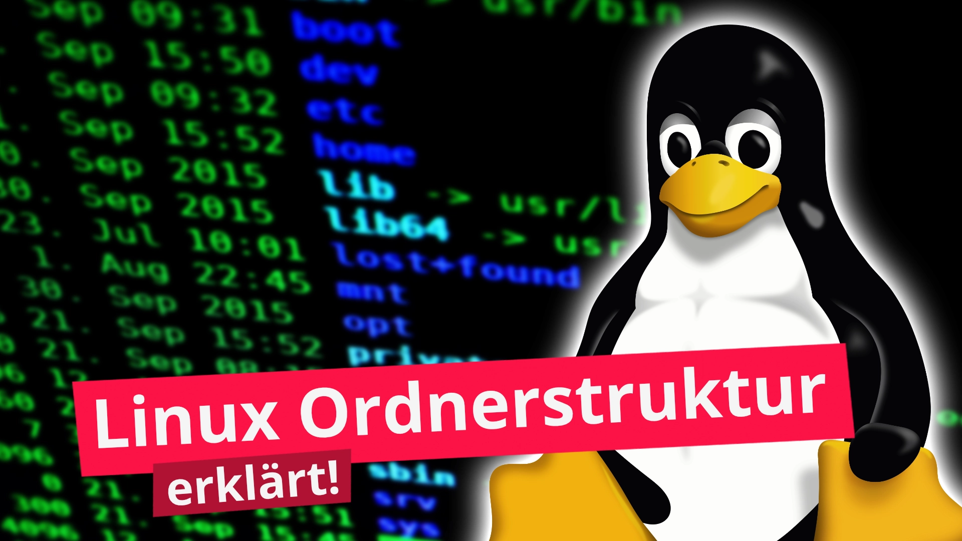 Linux Ordnerstruktur erklärt!